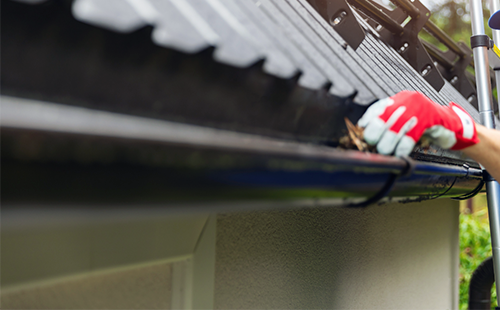 Gutter Cleaning